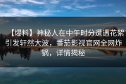 【爆料】神秘人在中午时分遭遇花絮引发轩然大波，番茄影视官网全网炸锅，详情揭秘