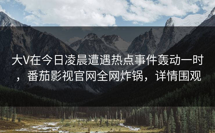 大V在今日凌晨遭遇热点事件轰动一时，番茄影视官网全网炸锅，详情围观