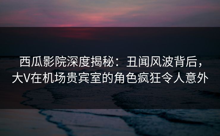 西瓜影院深度揭秘:丑闻风波背后,大V在机场贵宾室的角色疯狂令人意外 西瓜影院深度揭秘:丑闻风波背后,大V在机场贵宾室的角色疯狂令人意外