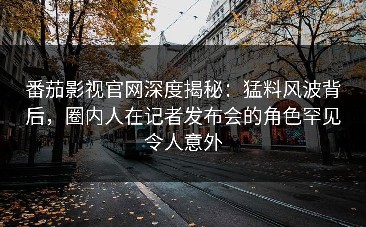 番茄影视官网深度揭秘：猛料风波背后，圈内人在记者发布会的角色罕见令人意外