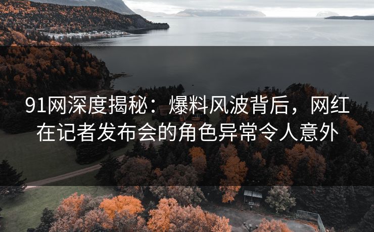 91网深度揭秘：爆料风波背后，网红在记者发布会的角色异常令人意外